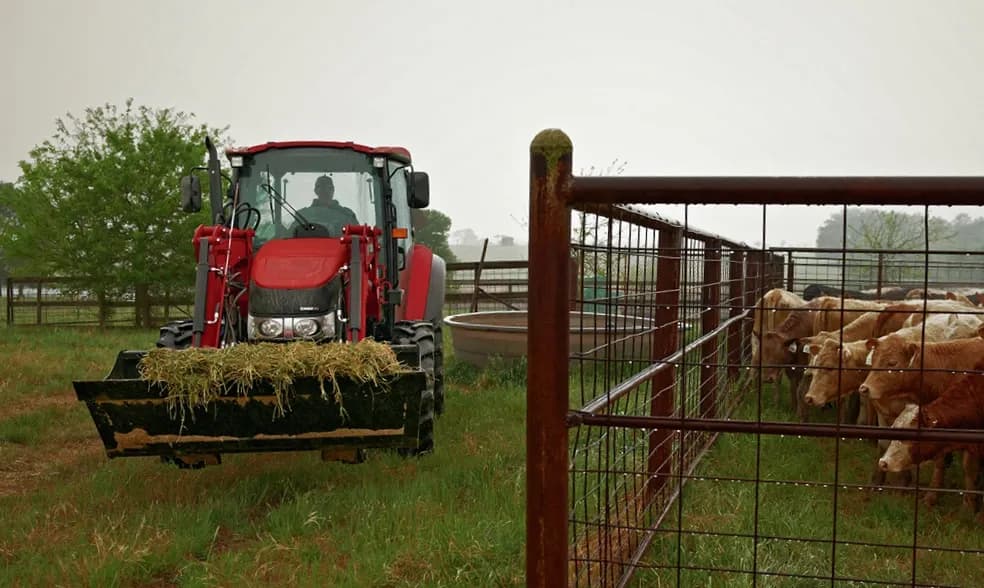 Farmall Utility 65C photo 1