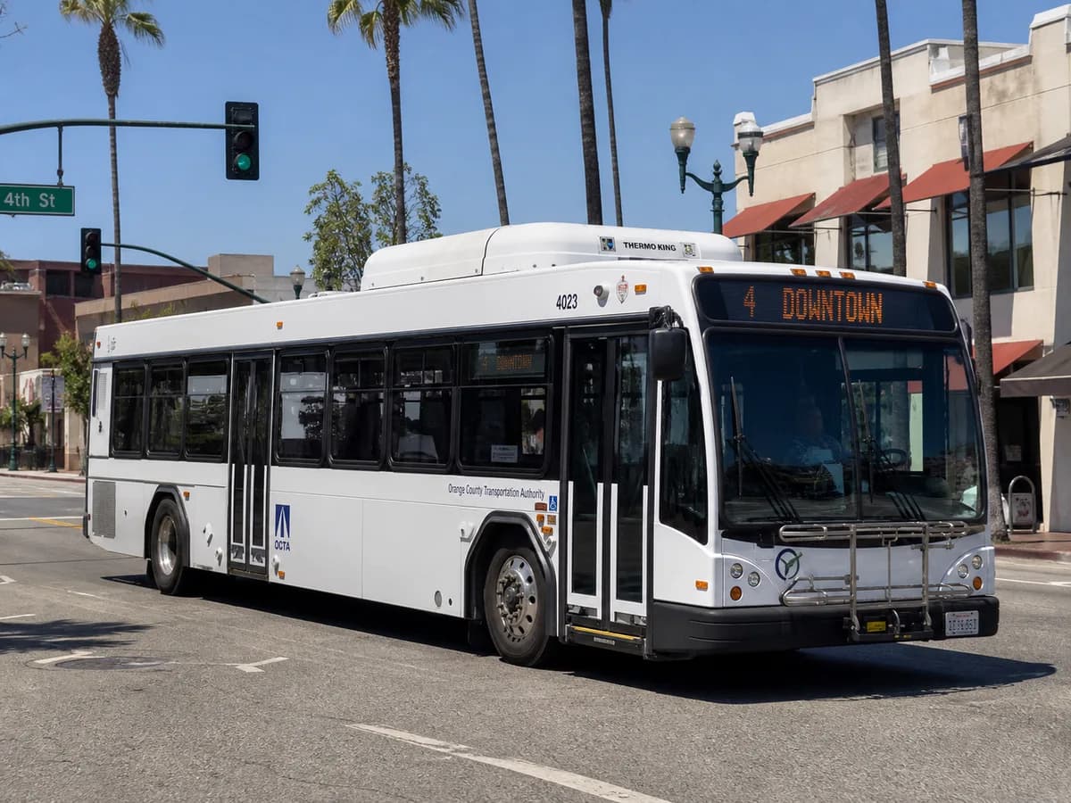Buses