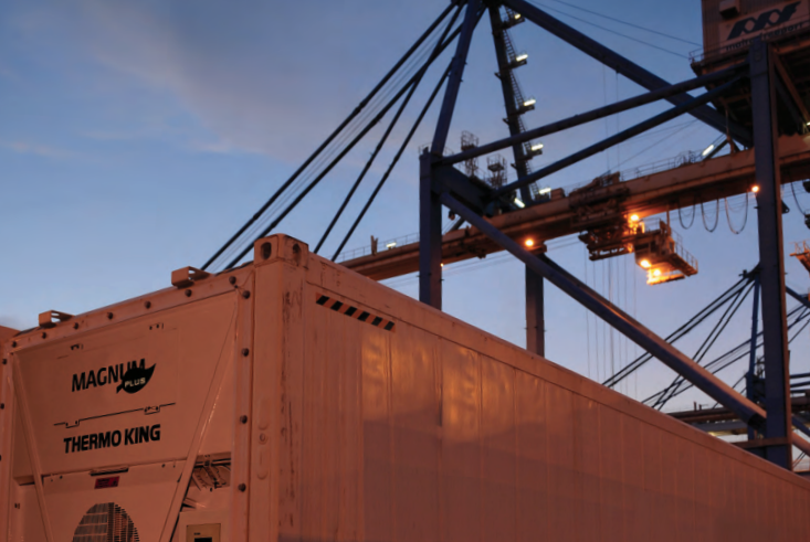 marine refrigeration